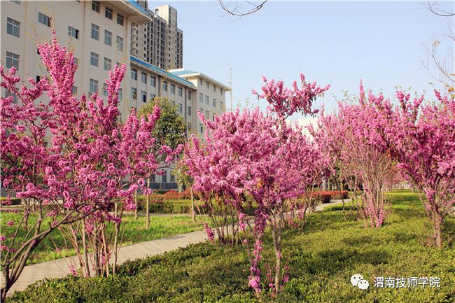 20210317_111426_000.jpg 20210317_111426_000.jpg