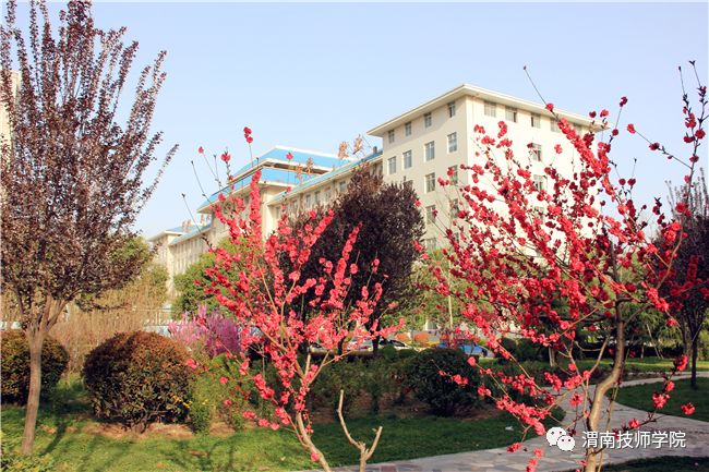 20210317_111426_001.jpg 20210317_111426_001.jpg