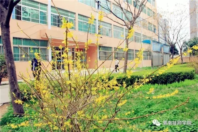 20210317_111426_004.jpg 20210317_111426_004.jpg