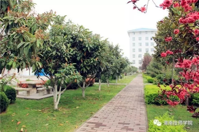 20210317_111426_006.jpg 20210317_111426_006.jpg