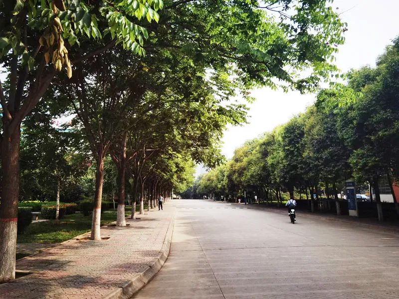 20220527_220313_033.jpg 20220527_220313_033.jpg