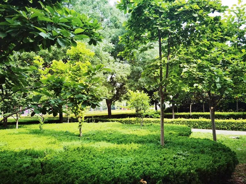 20220527_220313_034.jpg 20220527_220313_034.jpg