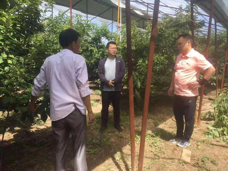 image001.jpg image001.jpg