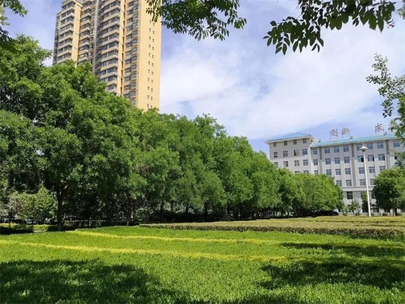 67.jpg
