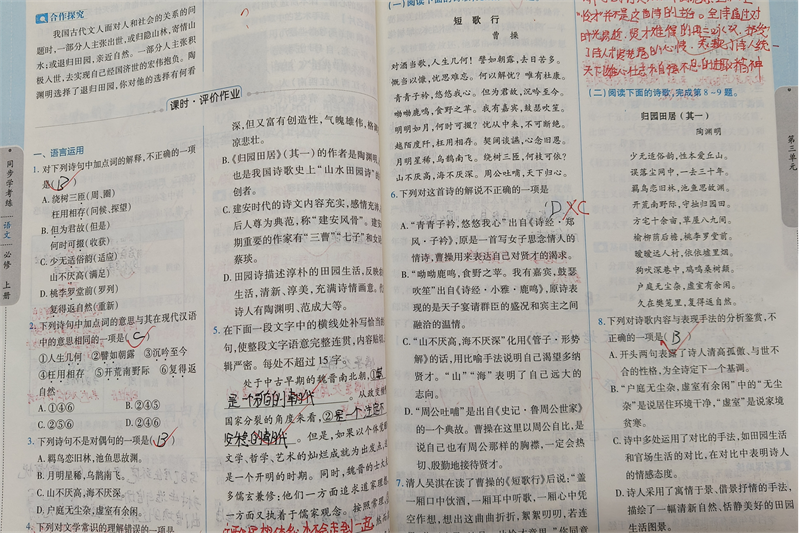 图片11.png